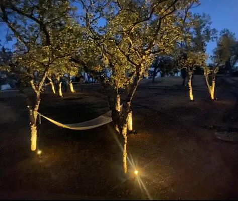 a view of a backyard with snow