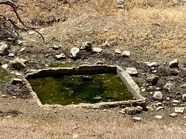 a view of outdoor space