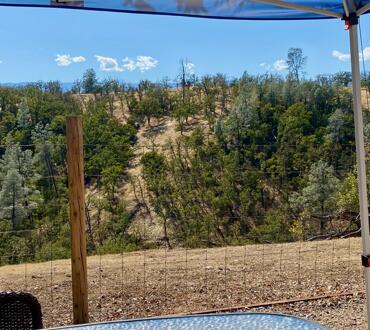 0 Cool Springs Red Bluff, CA 96080 - Photo 44 of 52 IMG_8694