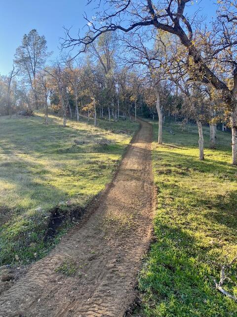 0 Cool Springs Red Bluff, CA 96080 - Photo 48 of 52 image3