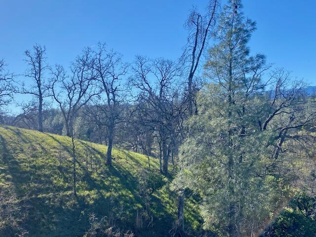 0 Cool Springs Red Bluff, CA 96080 - Photo 50 of 52 image12