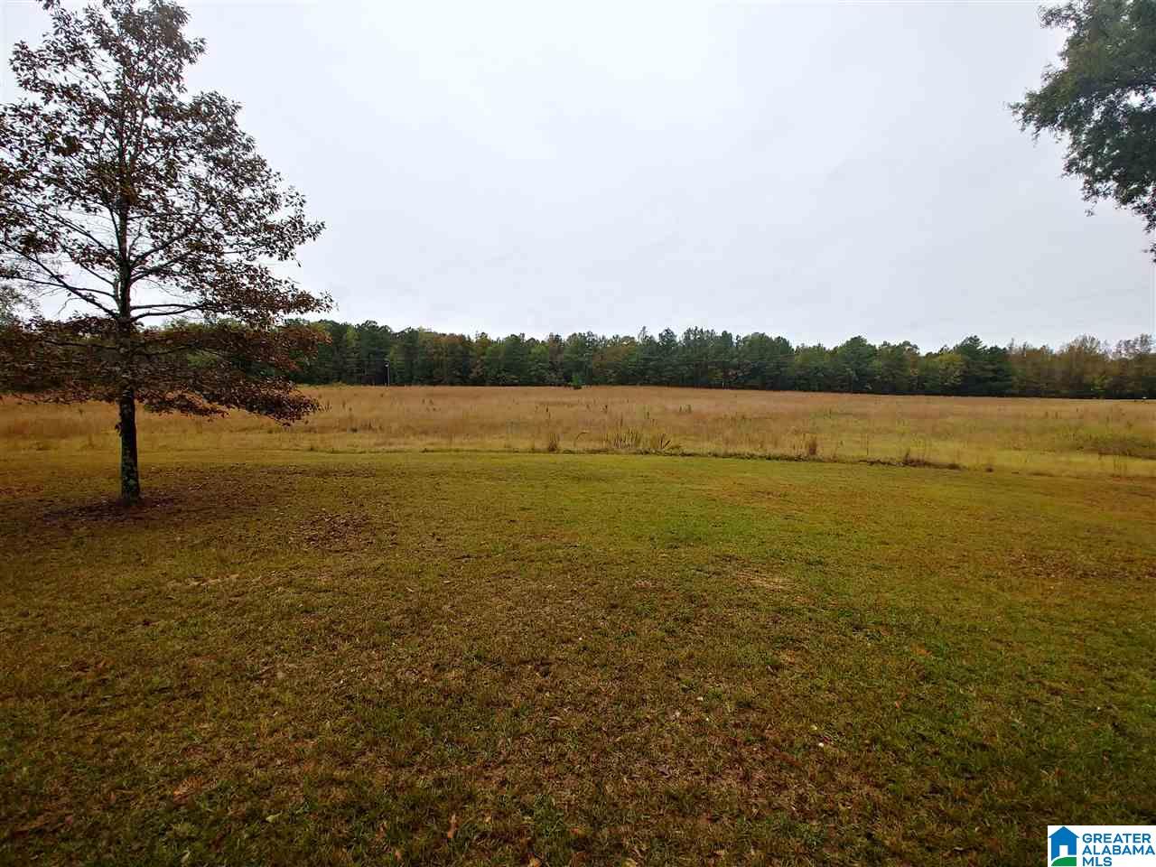 901 County Line Road Lincoln, AL 35096 - Photo 5 of 32