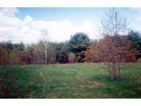 4950 Pine Hill Road Coventry, VT 05855 - Photo 3 of 4