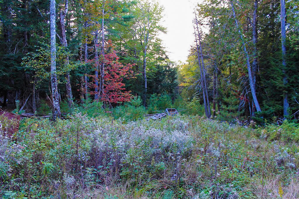 0 Smith Road Ellsworth, ME 04605 - Photo 2 of 17 IMG_8815-2