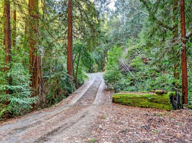 a view of a yard with a tree
