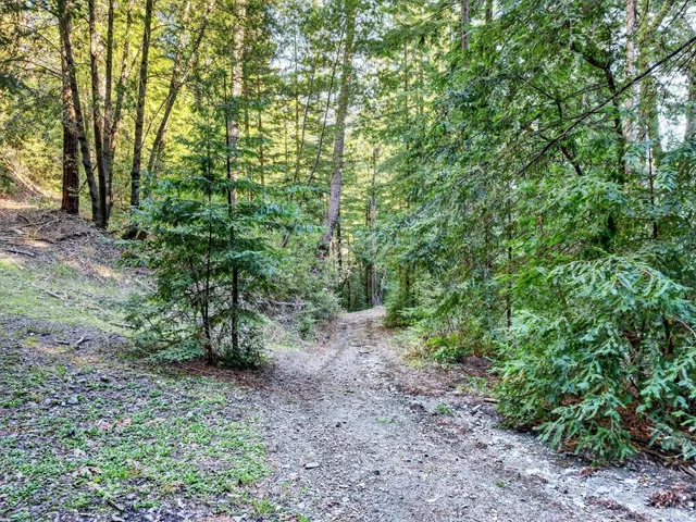 a view of a lush green field with mountains in the background