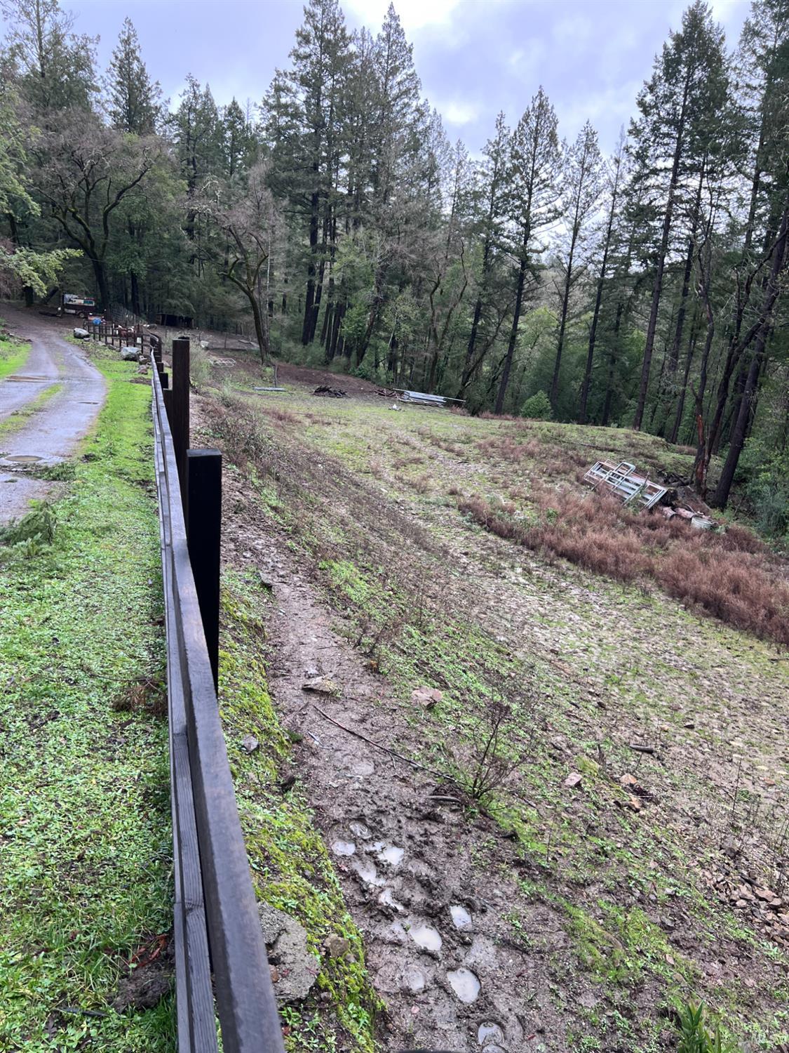 15785 Pole Mountain Road Cazadero, CA 95421 - Photo 15 of 44 a view of backyard with green space
