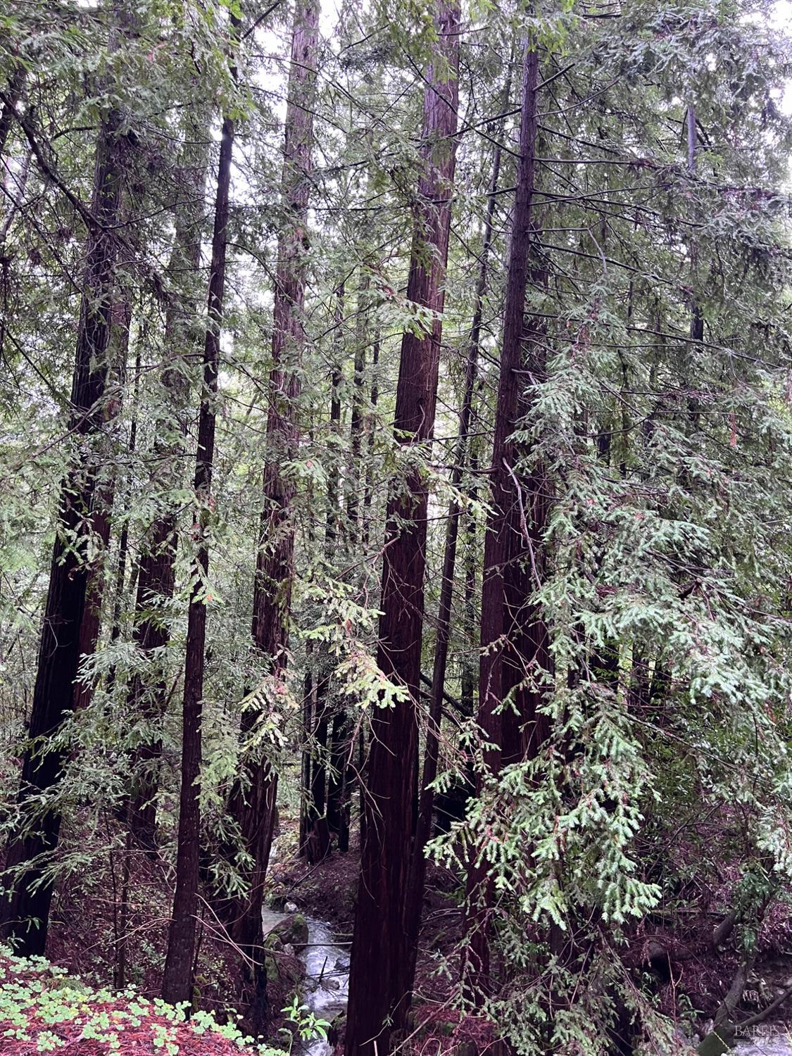 15785 Pole Mountain Road Cazadero, CA 95421 - Photo 19 of 44 a map view of location