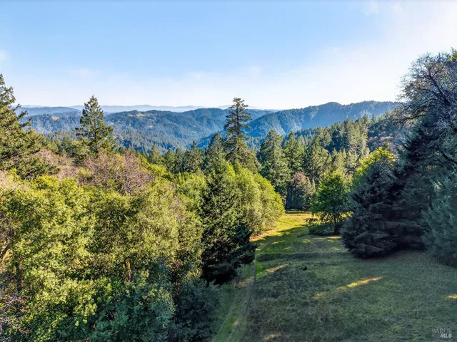 a view of a forest with mountains in the background