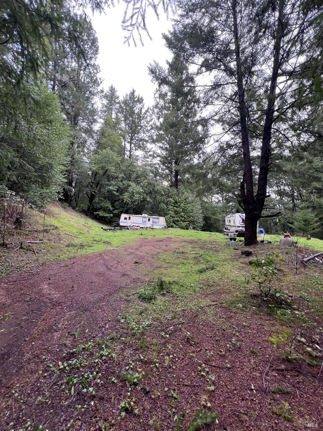 15785 Pole Mountain Road Cazadero, CA 95421 - Photo 21 of 44 a view of outdoor space with trees