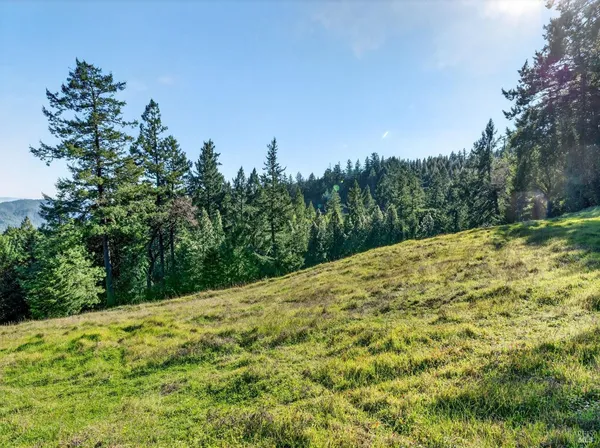 a view of a lush green field
