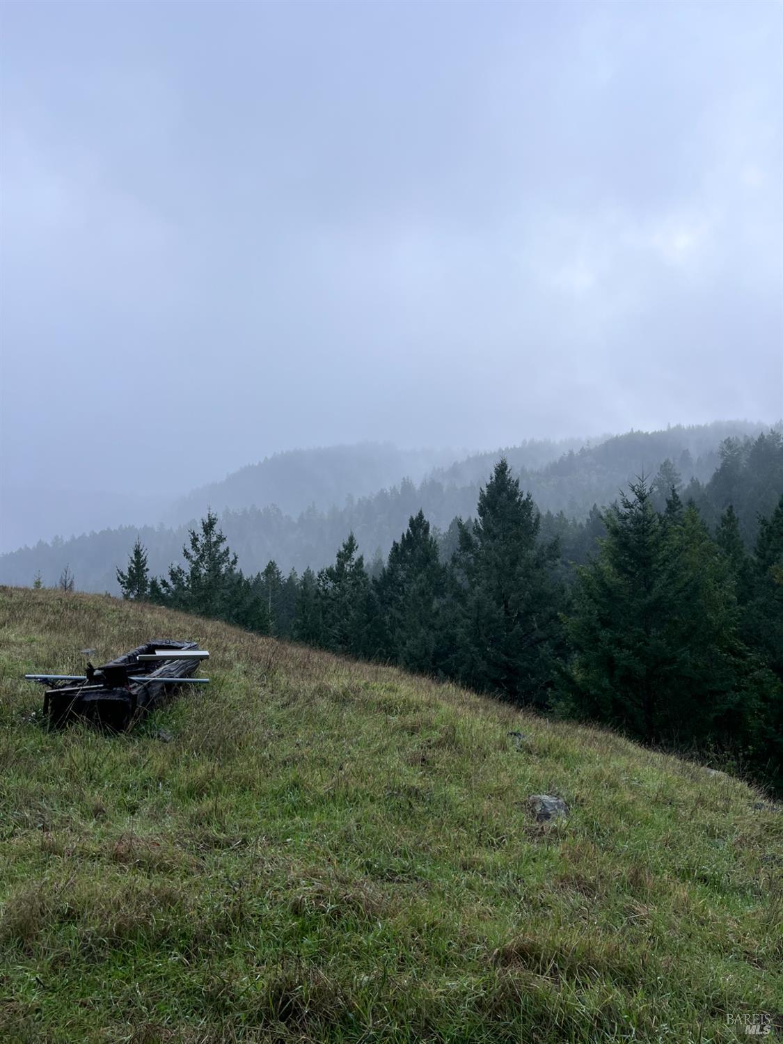 15785 Pole Mountain Road Cazadero, CA 95421 - Photo 25 of 44 a view of a green field with lots of green space
