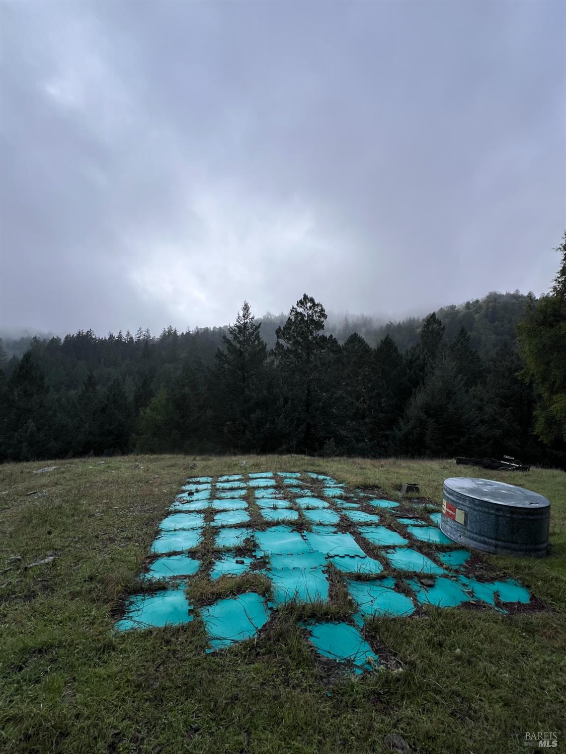15785 Pole Mountain Road Cazadero, CA 95421 - Photo 27 of 44 a view of a yard with an outdoor space