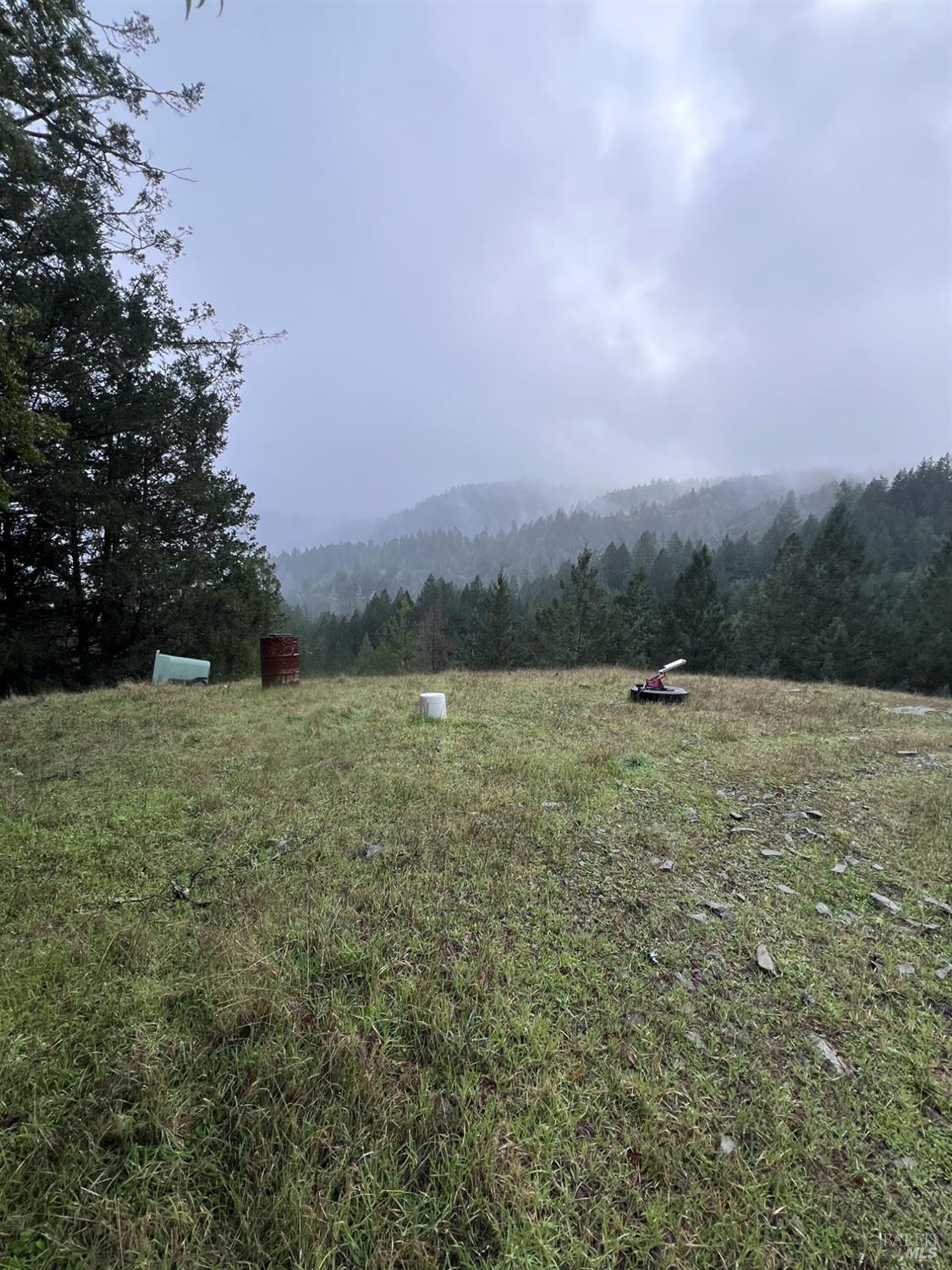 15785 Pole Mountain Road Cazadero, CA 95421 - Photo 28 of 44 a view of a field with trees in background