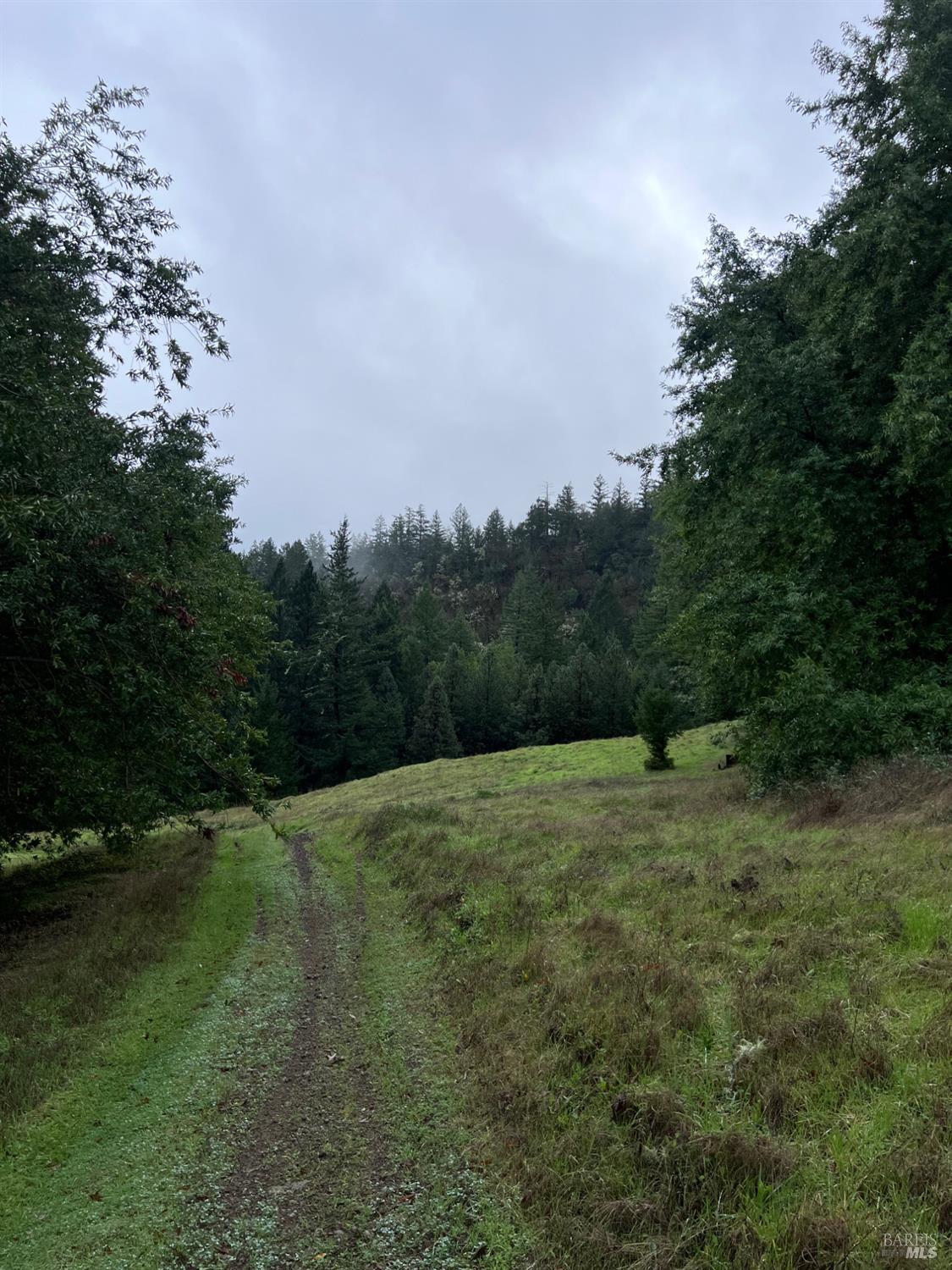 15785 Pole Mountain Road Cazadero, CA 95421 - Photo 29 of 44 a big yard with lots of green space and trampoline