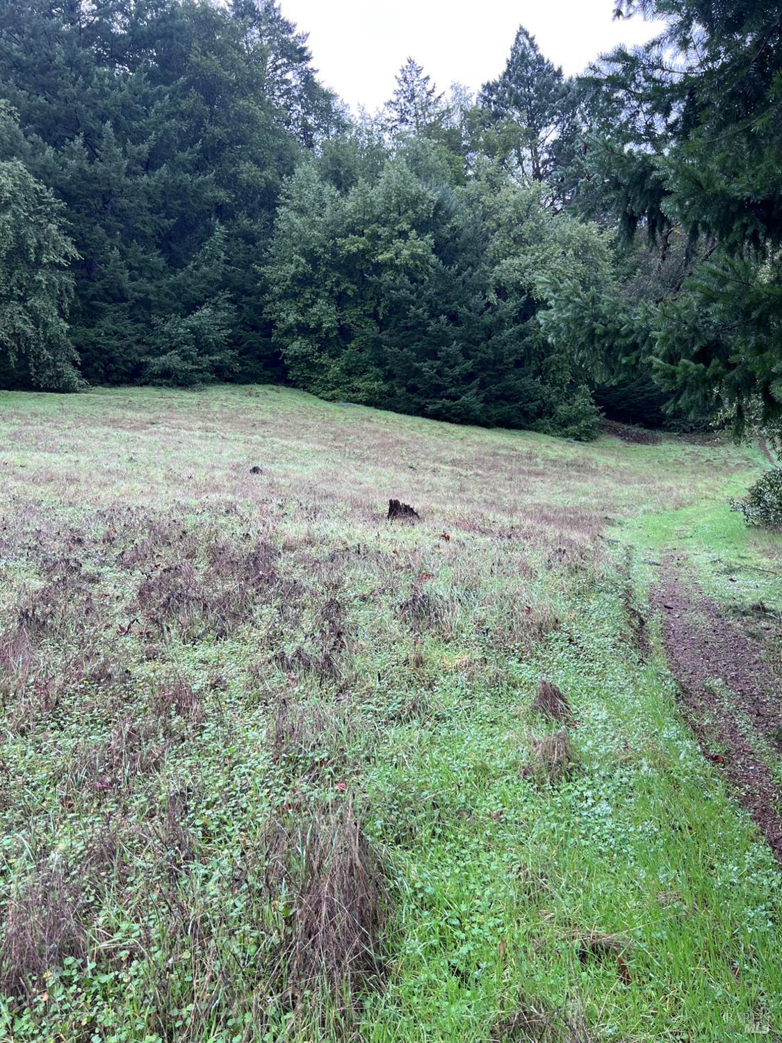 15785 Pole Mountain Road Cazadero, CA 95421 - Photo 30 of 44 a view of wall with green space