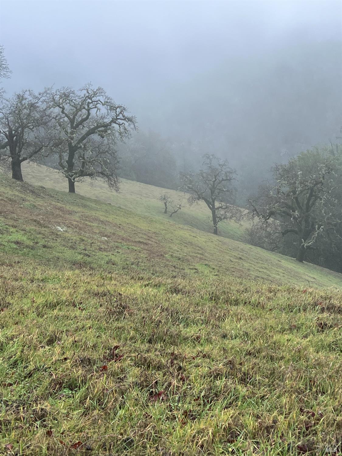 15785 Pole Mountain Road Cazadero, CA 95421 - Photo 36 of 44 a view of a dry yard
