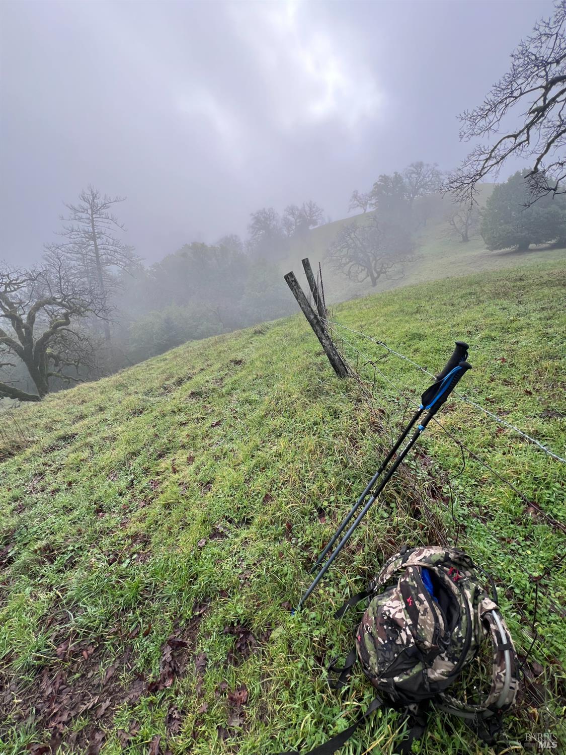 15785 Pole Mountain Road Cazadero, CA 95421 - Photo 39 of 44 a view of a field with an ocean view