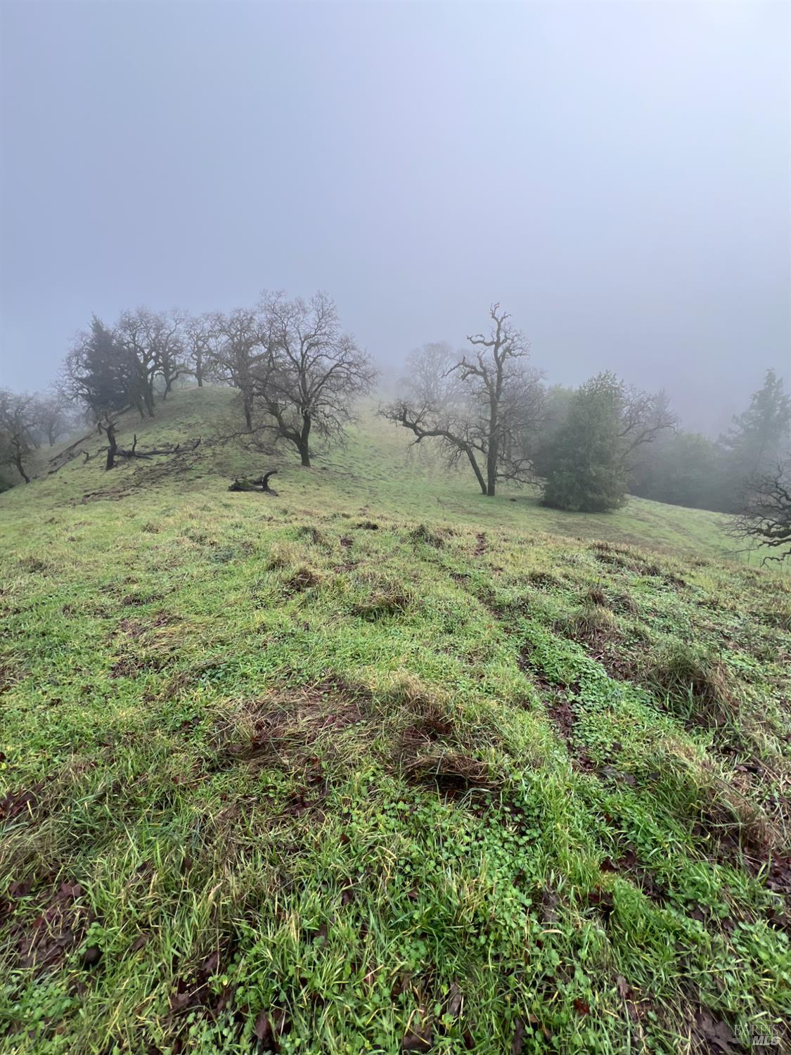 15785 Pole Mountain Road Cazadero, CA 95421 - Photo 40 of 44