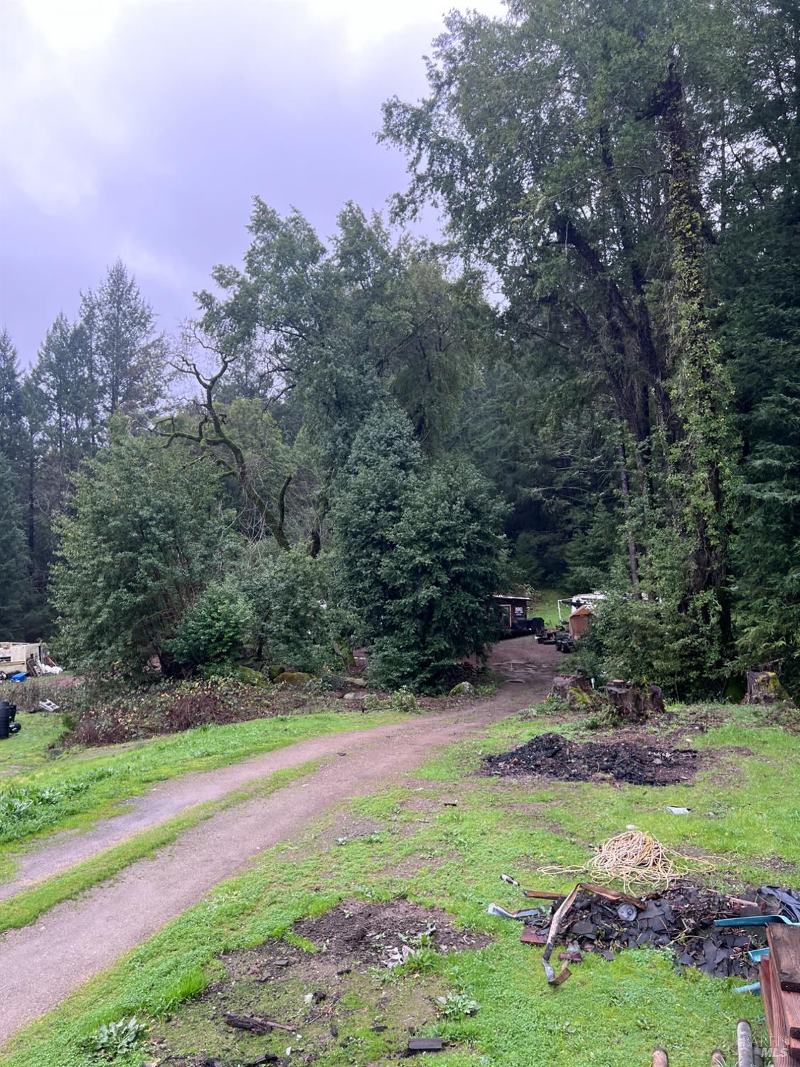 15785 Pole Mountain Road Cazadero, CA 95421 - Photo 4 of 44 a view of a golf course with a yard