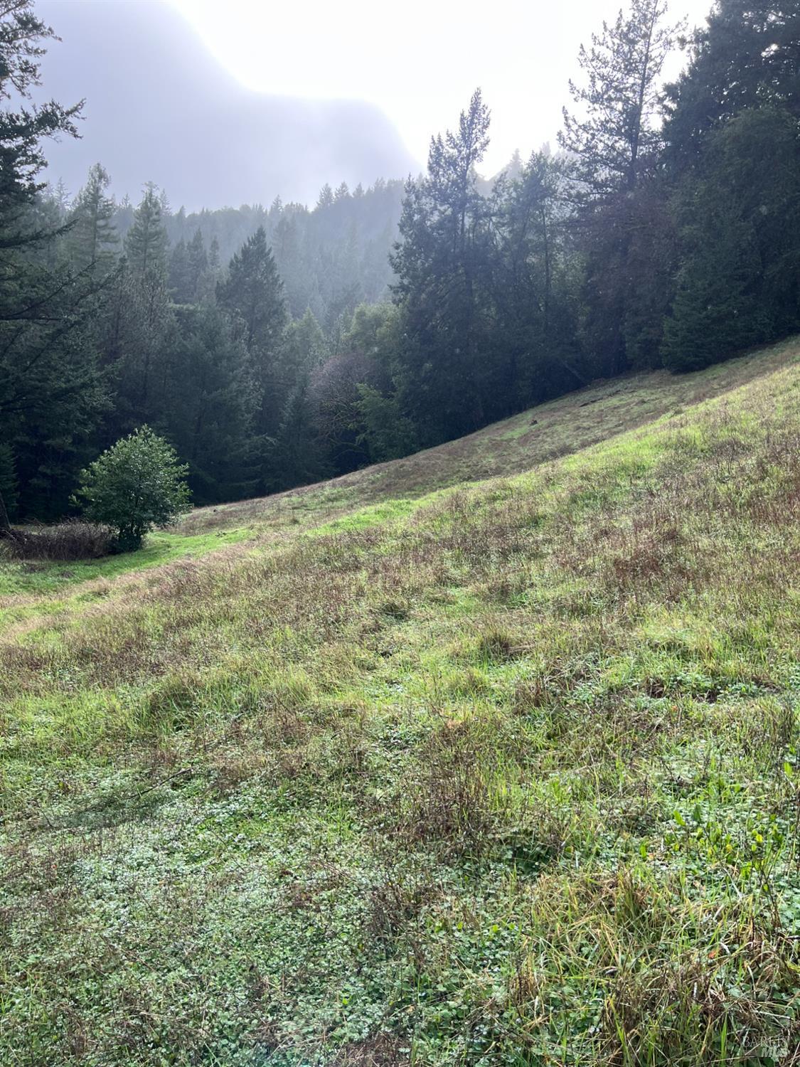 15785 Pole Mountain Road Cazadero, CA 95421 - Photo 42 of 44 a view of a yard with an outdoor space