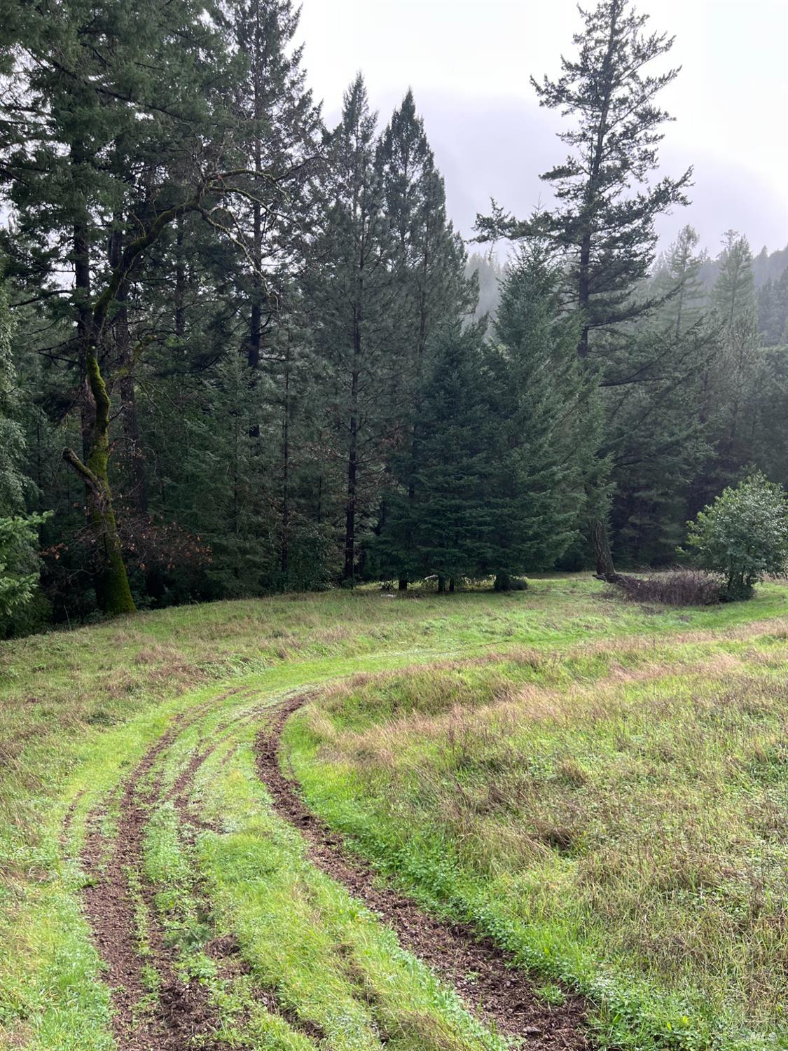 15785 Pole Mountain Road Cazadero, CA 95421 - Photo 43 of 44 a view of a backyard