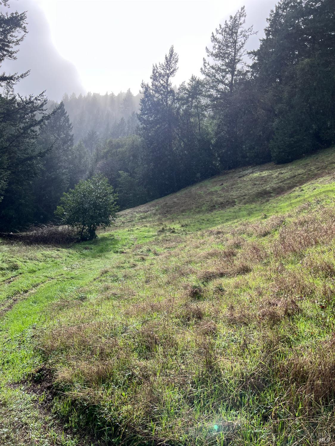 15785 Pole Mountain Road Cazadero, CA 95421 - Photo 44 of 44 a view of a yard