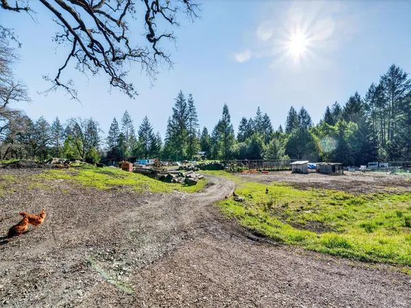 a big yard with lots of green space