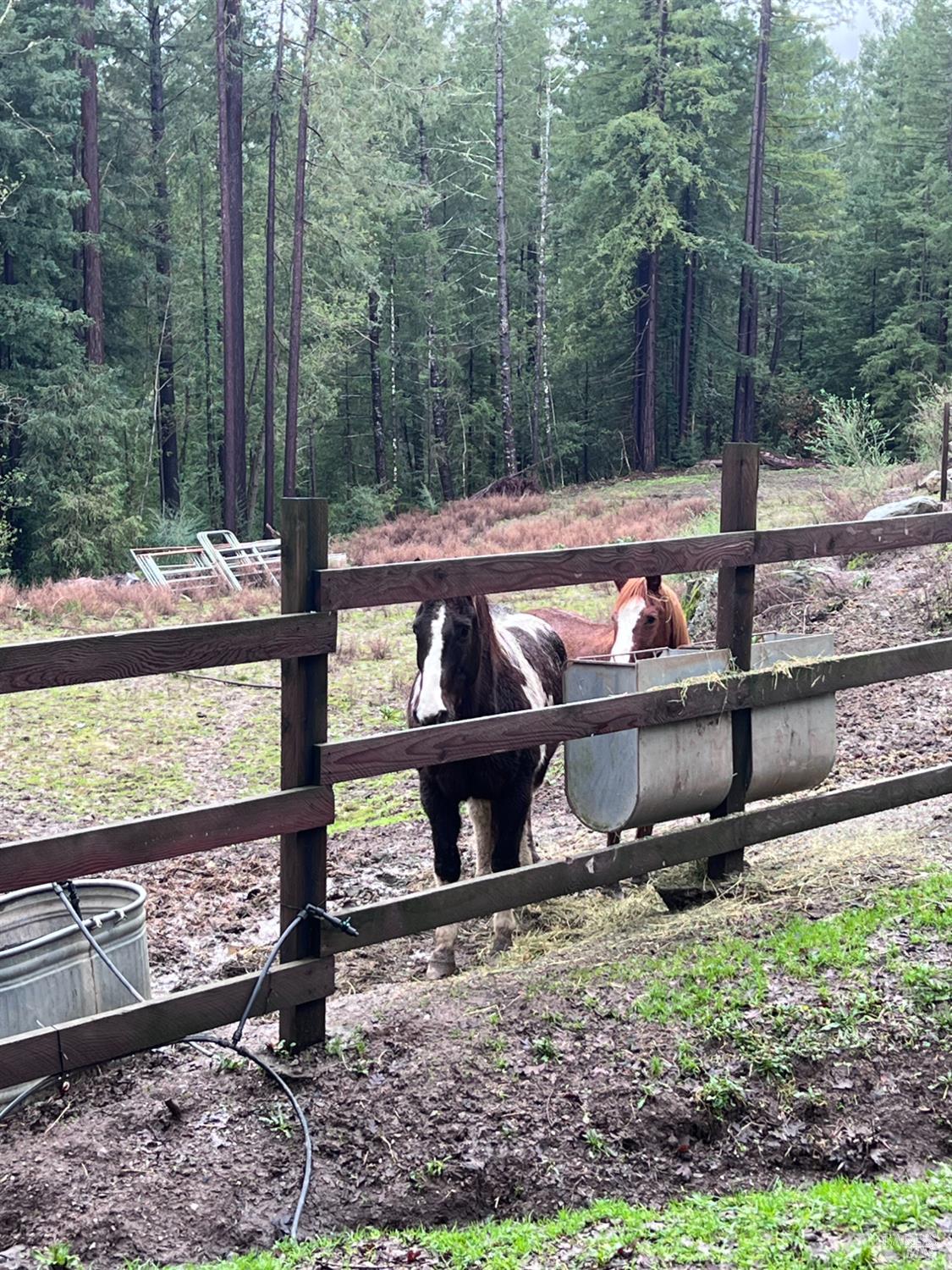 15785 Pole Mountain Road Cazadero, CA 95421 - Photo 7 of 44 a view of a bench in the yard