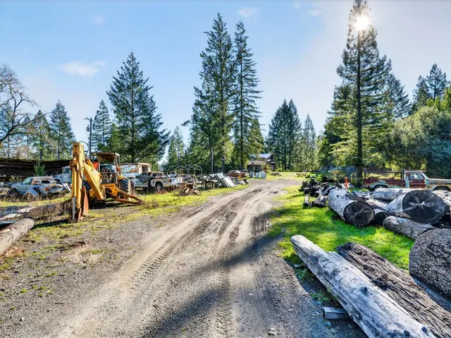 a view of a pathway both side of a yard
