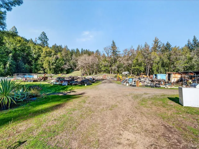 a view of a forest filled with trees