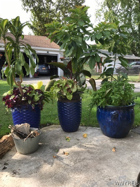 6 Mapleview Road Cheektowaga, NY 14225 - Photo 21 of 22