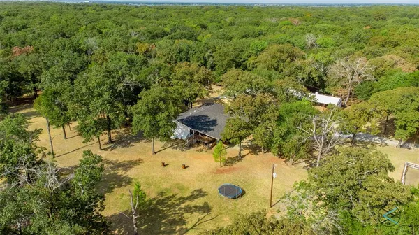 a view of a tree in a yard