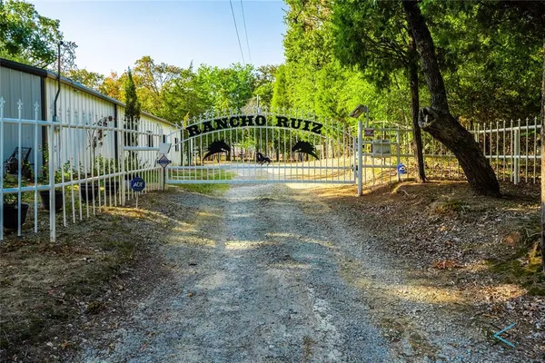 a view of a yard with plants and trees