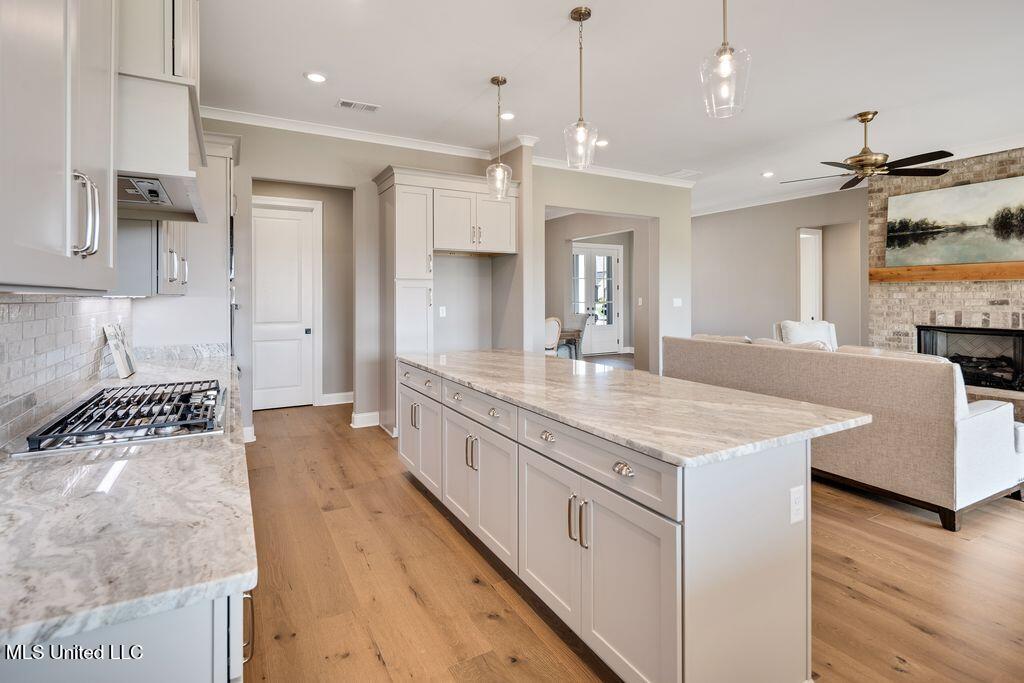 2115 Livingston Way Hernando, MS 38632 - Photo 14 of 41 80769DEA-8488-4968-8EC7-2D1AB6ECEFE1