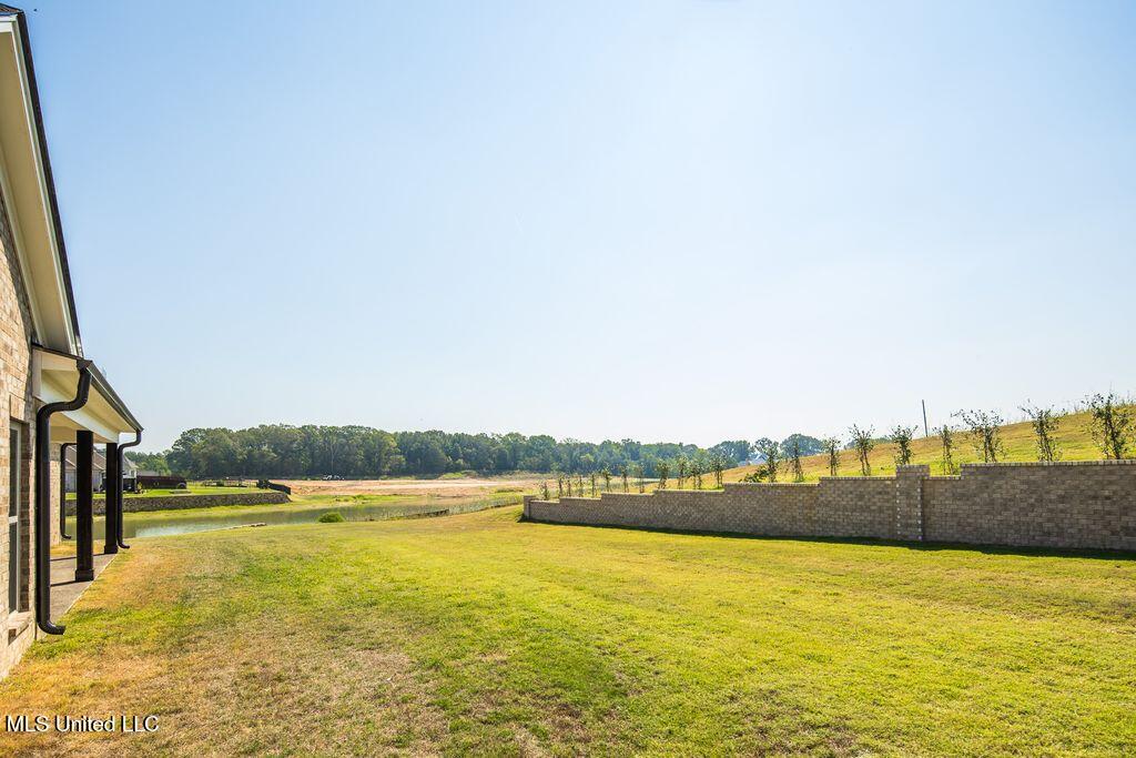 2115 Livingston Way Hernando, MS 38632 - Photo 39 of 41 7E758370-2F22-48B5-B277-9E02299A7878