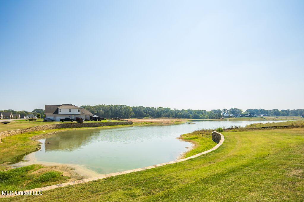 2115 Livingston Way Hernando, MS 38632 - Photo 40 of 41 Lake View