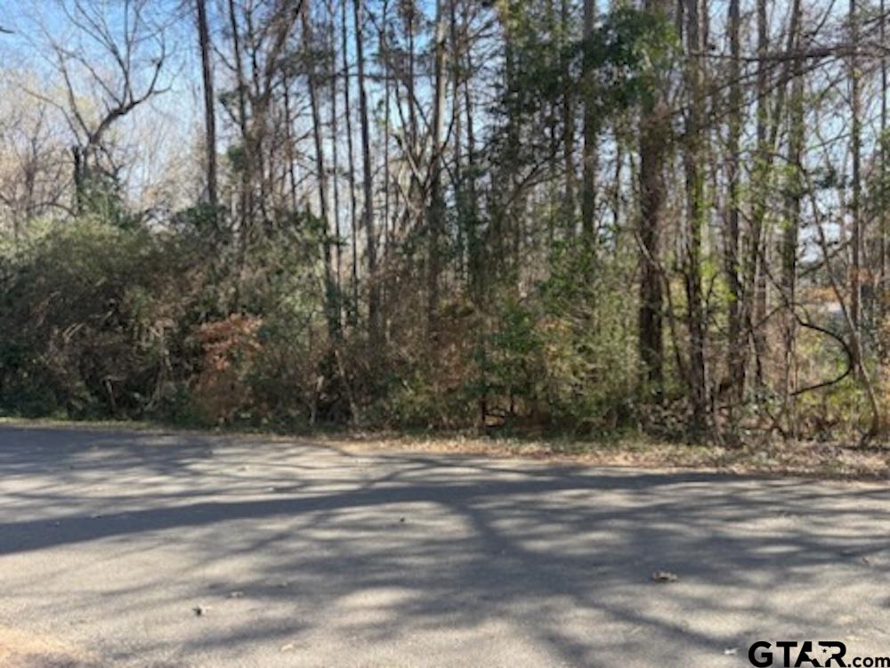 Tbd Gifford Street Rusk, TX 75785 - Photo 2 of 4 a view of tree field with large trees