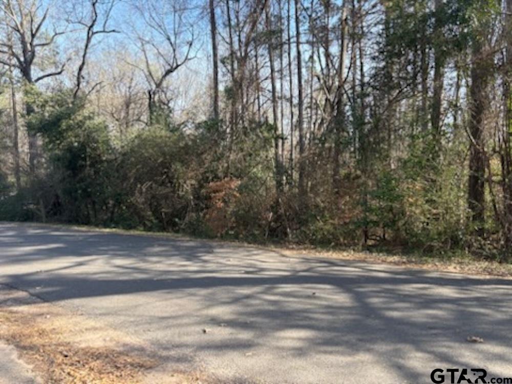 Tbd Gifford Street Rusk, TX 75785 - Photo 3 of 4 a view of basketball court