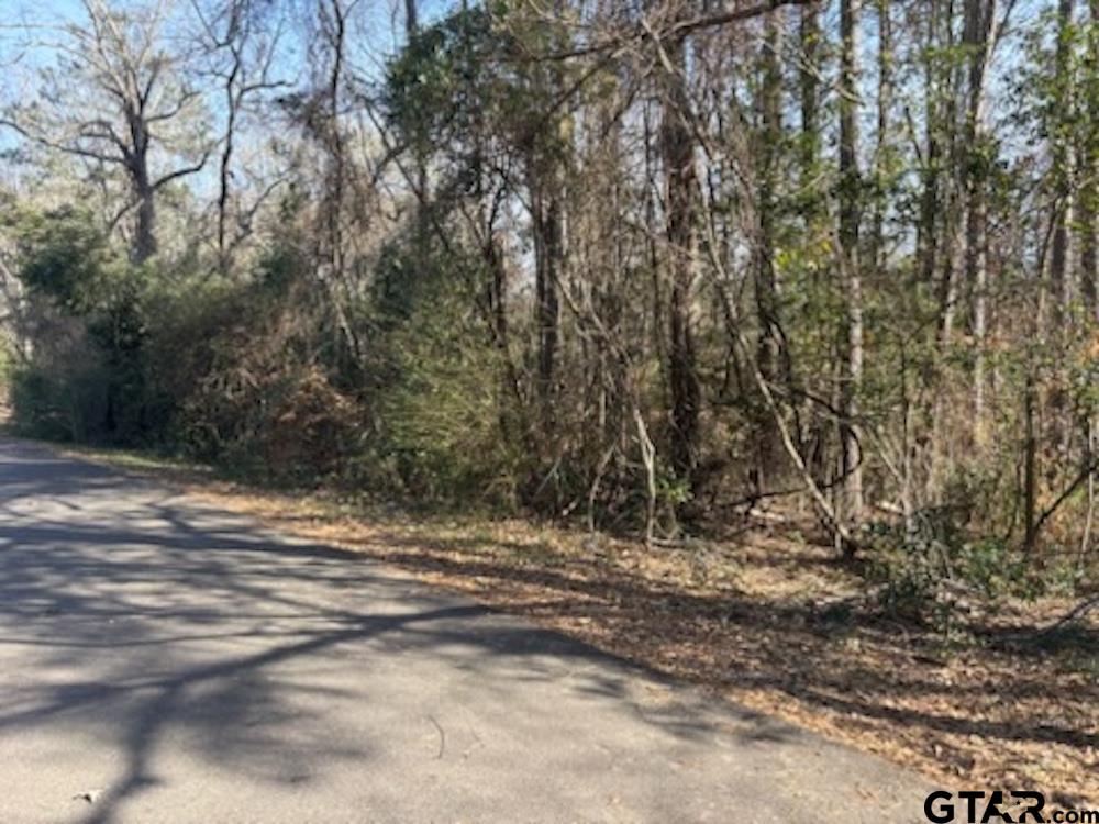 Tbd Gifford Street Rusk, TX 75785 - Photo 4 of 4 a view of outdoor space with trees