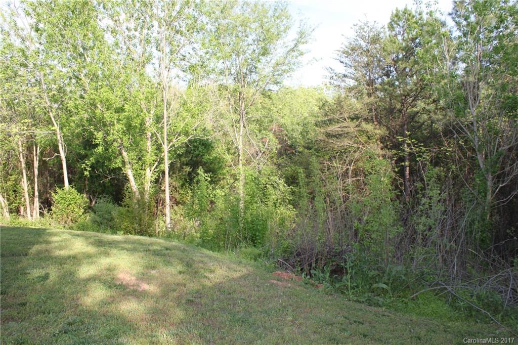 421 Cleghorn Mill Road, Unit 30 Rutherfordton, NC 28139 - Photo 22 of 23 a view of outdoor space and trees