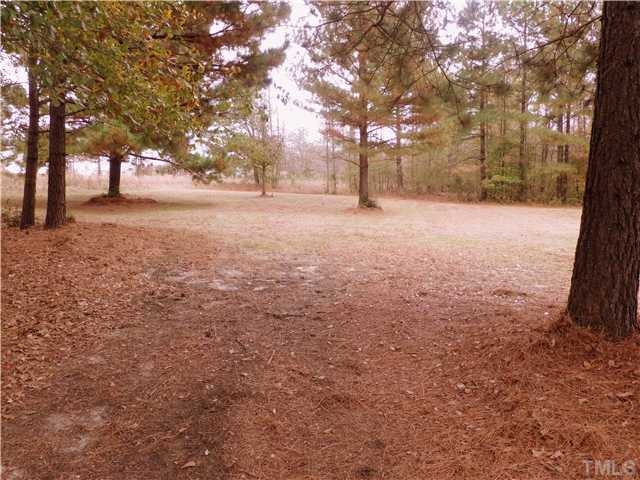 295 Massengill Pond Road Angier, NC 27501 - Photo 24 of 25 Photo 24
