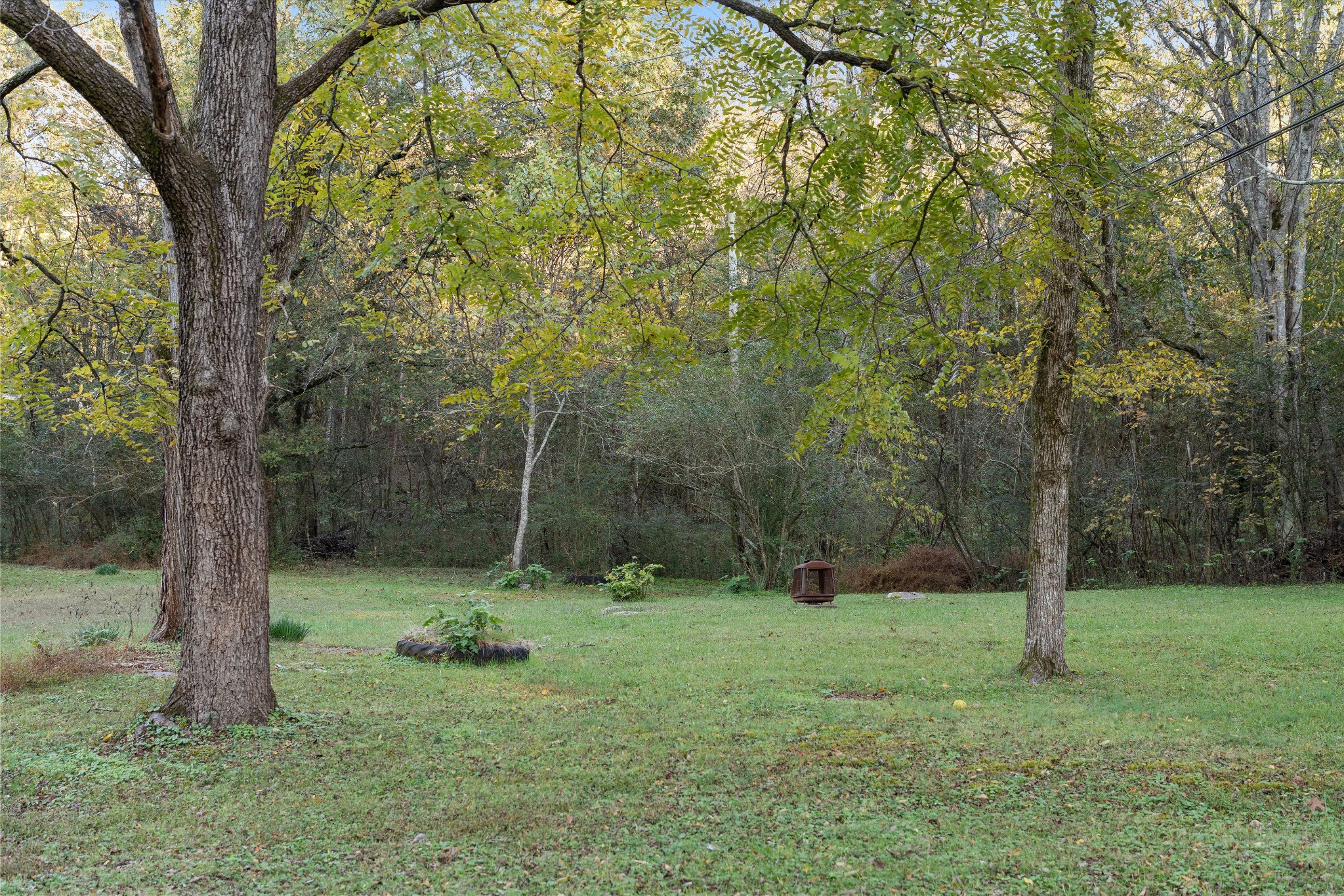 31 Volunteer Circle Carthage, TN 37030 - Photo 5 of 52 a backyard of a house with lots of green space
