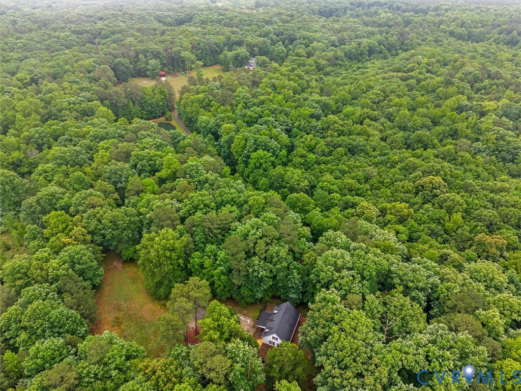 10130 Coalboro Road Chesterfield, VA 23838 - Photo 60 of 77
