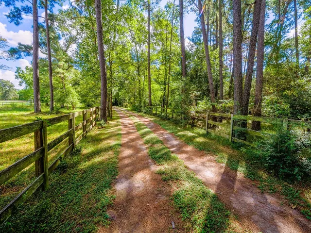 a view of an outdoor space with a yard