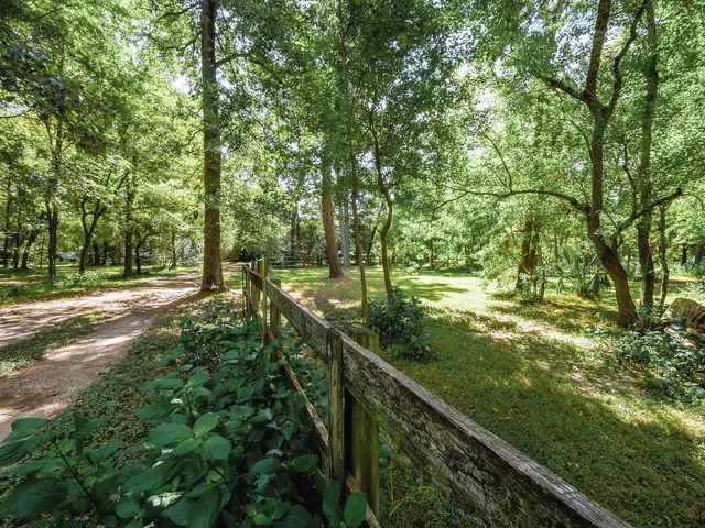 a view of a yard with plants and trees