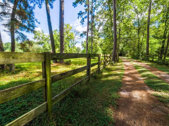 a view of a park with large trees