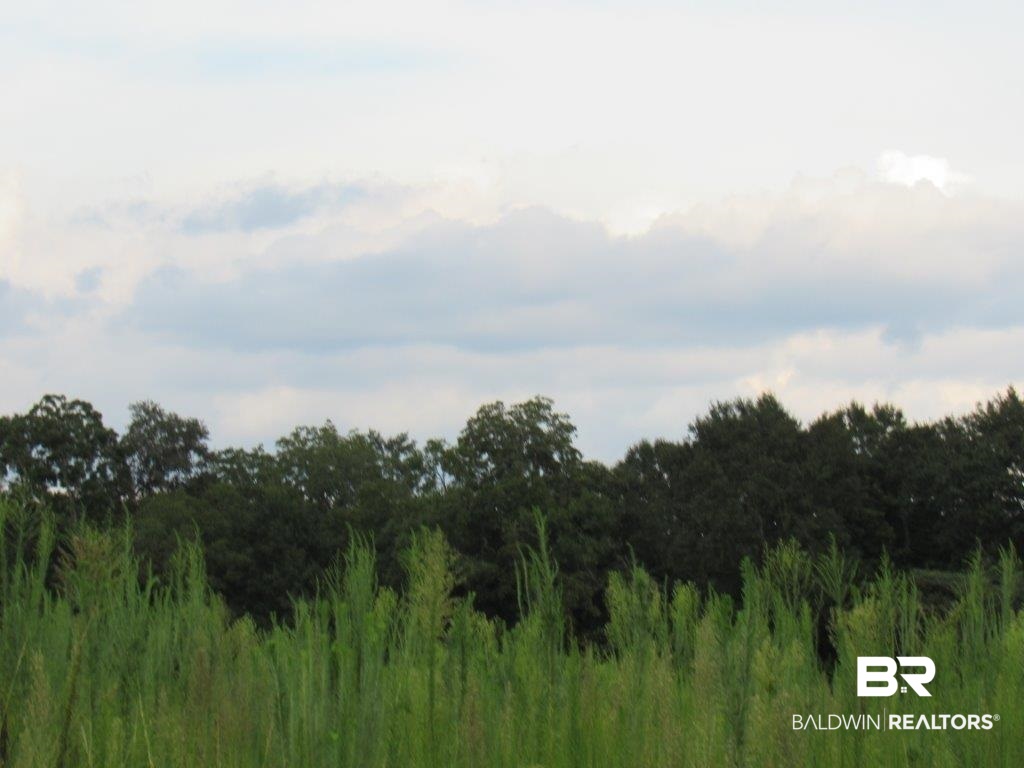 13 County Road Daphne, AL 36526 - Photo 2 of 2
