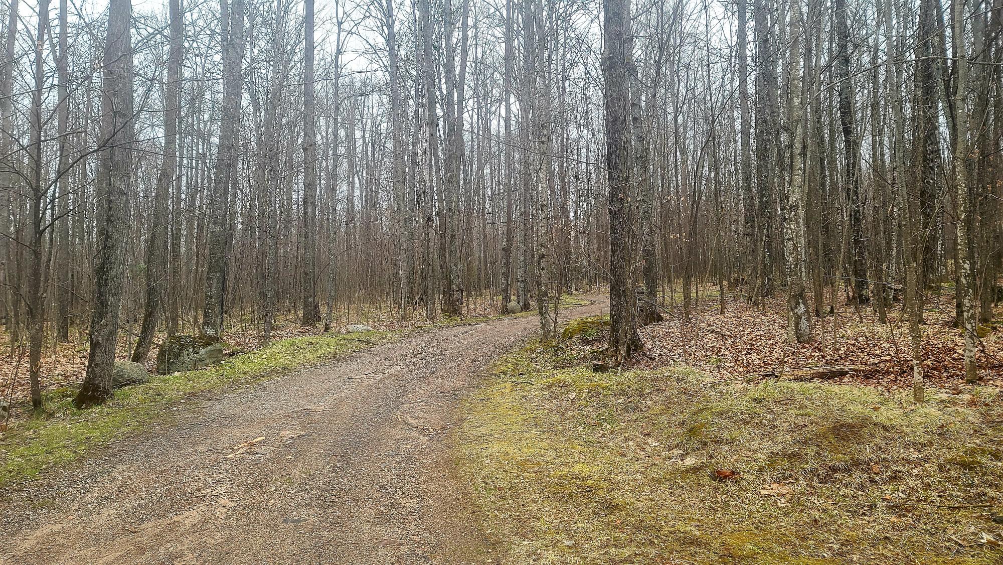 6302 Camp 6 Loop Road Armstrong Creek, WI 54103 - Photo 64 of 67 Gallery Image 64