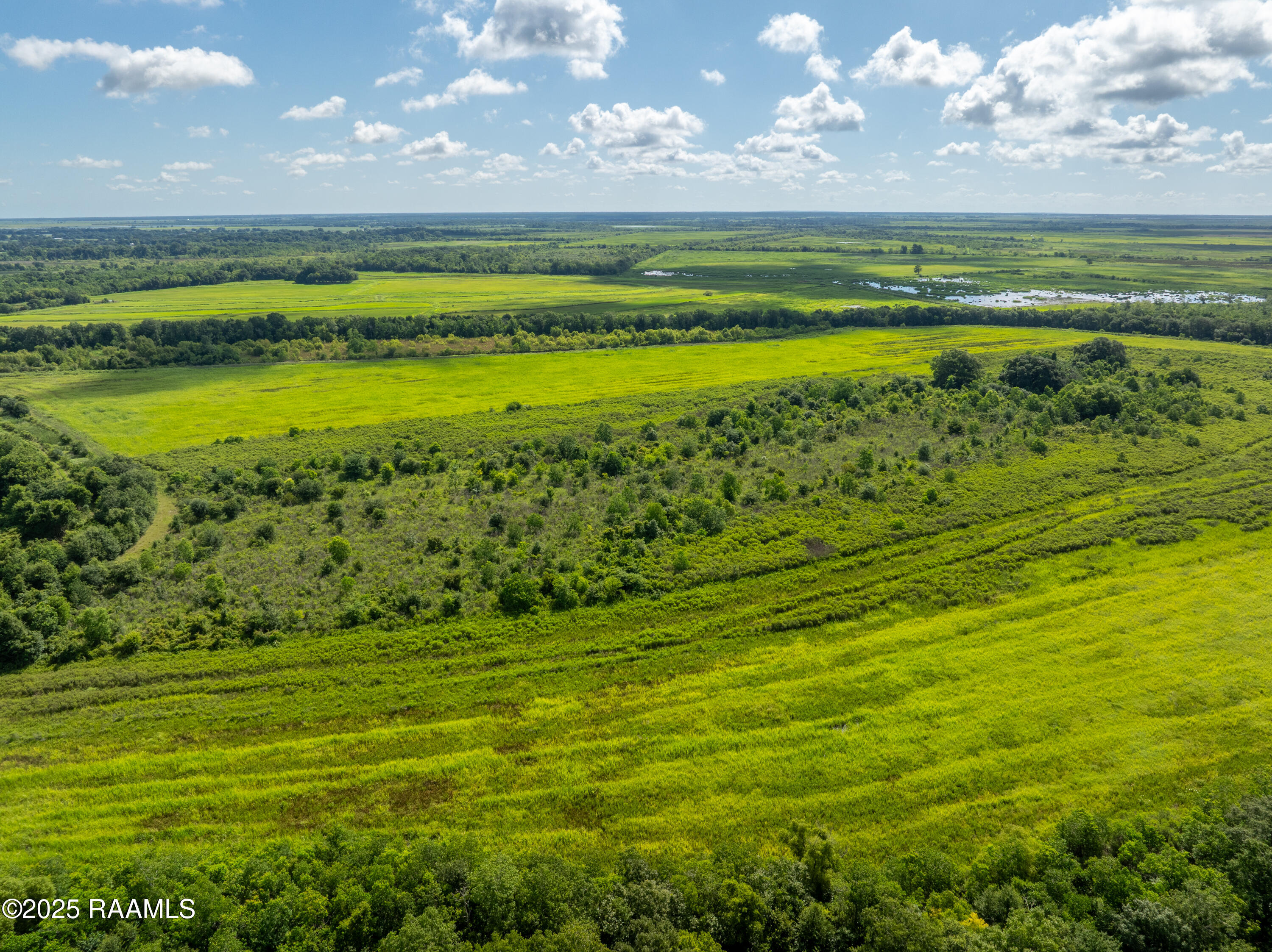 21737 Keno Road Abbeville, LA 70510 - Photo 33 of 60 ForkedIslandAerials-10